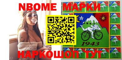 дмт Гатчина