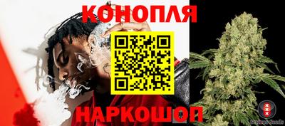 дмт Гатчина
