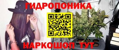 дмт Гай
