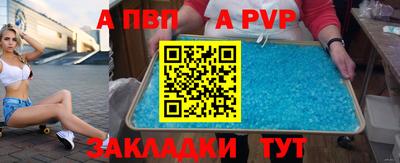дмт Гатчина