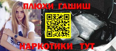 дмт Гай